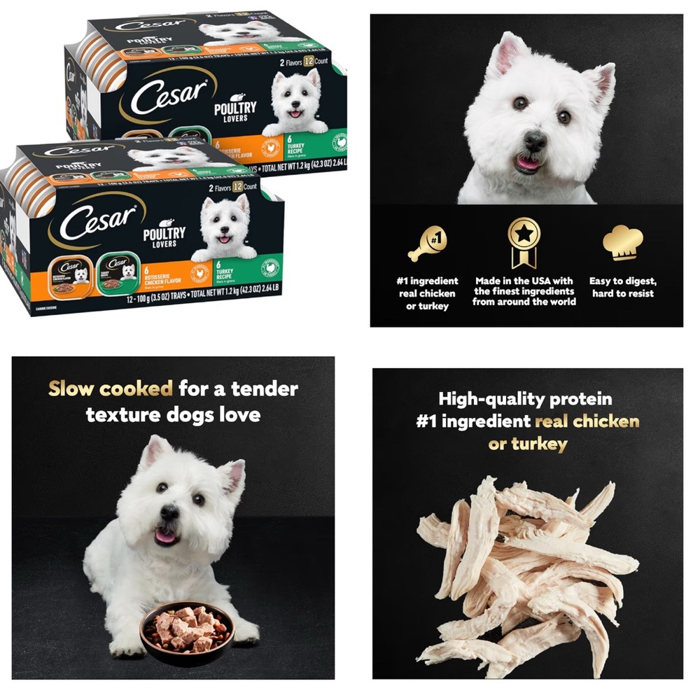 Cesar Filets in Gravy Adult Wet Dog Food Variety Pack, Poultry Lovers